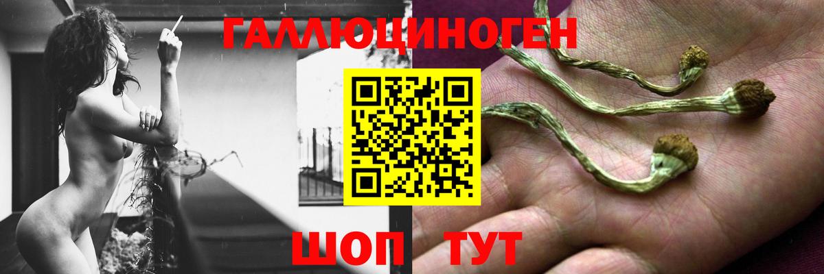 цены   Вход с VPN  Торжок  Галлюциногенные грибы Psilocybine cubensis 